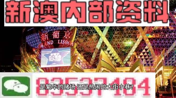 澳门最精准免费资料大全旅游团，探索澳门之旅的完美选择，澳门最精准免费资料大全旅游团，探索澳门之旅的不二之选