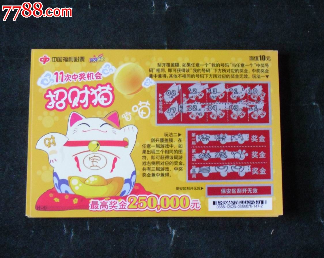 王中王资料一肖中特y招财猫，揭秘背后的秘密与财富之道，揭秘招财猫背后的秘密与财富之道，王中王资料一肖中特y分析