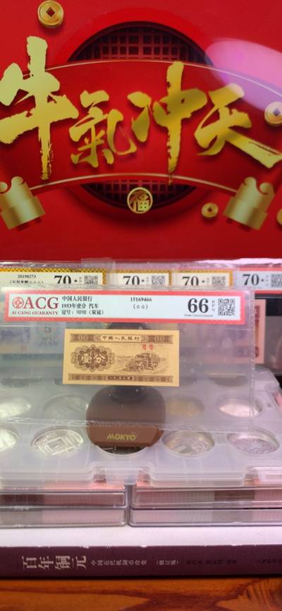 王中王资柈一肖中，深度解析与SEO优化策略，王中王资柈一肖深度解析与SEO优化策略探讨