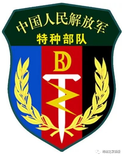揭秘21集团军雪枫特战旅臂章的独特魅力与背后故事，揭秘雪枫特战旅臂章的独特魅力与背后故事，探寻背后的故事与荣耀传承