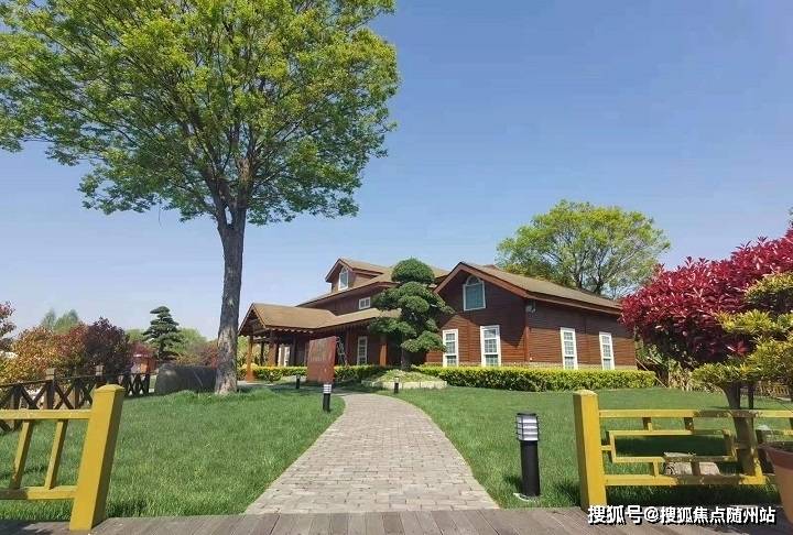 王中王一肖一特一中最新消息，全方位解读热门话题与动态，王中王一肖一特一中最新动态解读，热门话题全方位剖析