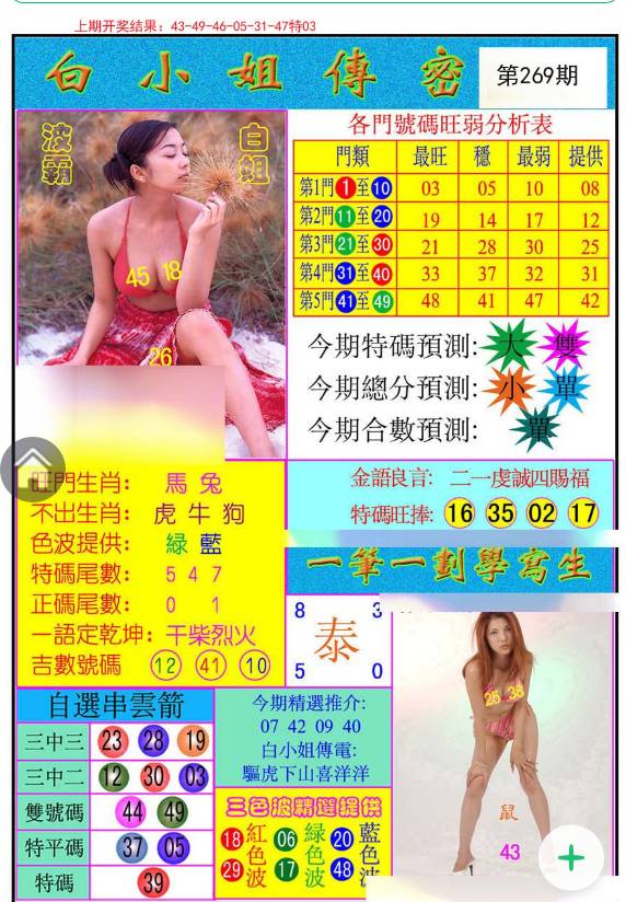 揭秘王中王白小姐四肖选一，神秘之选背后的秘密，揭秘王中王白小姐四肖选一，神秘选择的背后真相