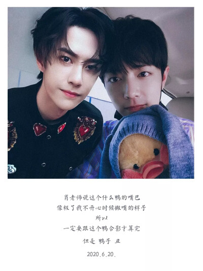 王中王一肖一特的SEO奥秘，探寻成功背后的秘密策略，王中王一肖一特SEO奥秘揭秘，成功背后的策略之道