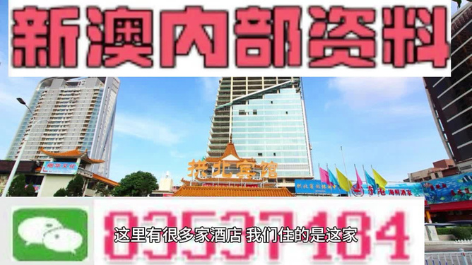 新澳内部期期精准，深度解析与SEO优化策略，新澳内部期期精准深度解析与SEO优化策略探讨