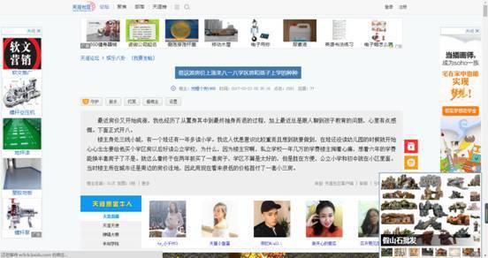 天涯论坛的兴衰与没落，探究背后的原因与启示，天涯论坛的兴衰与启示，探究背后的原因与影响