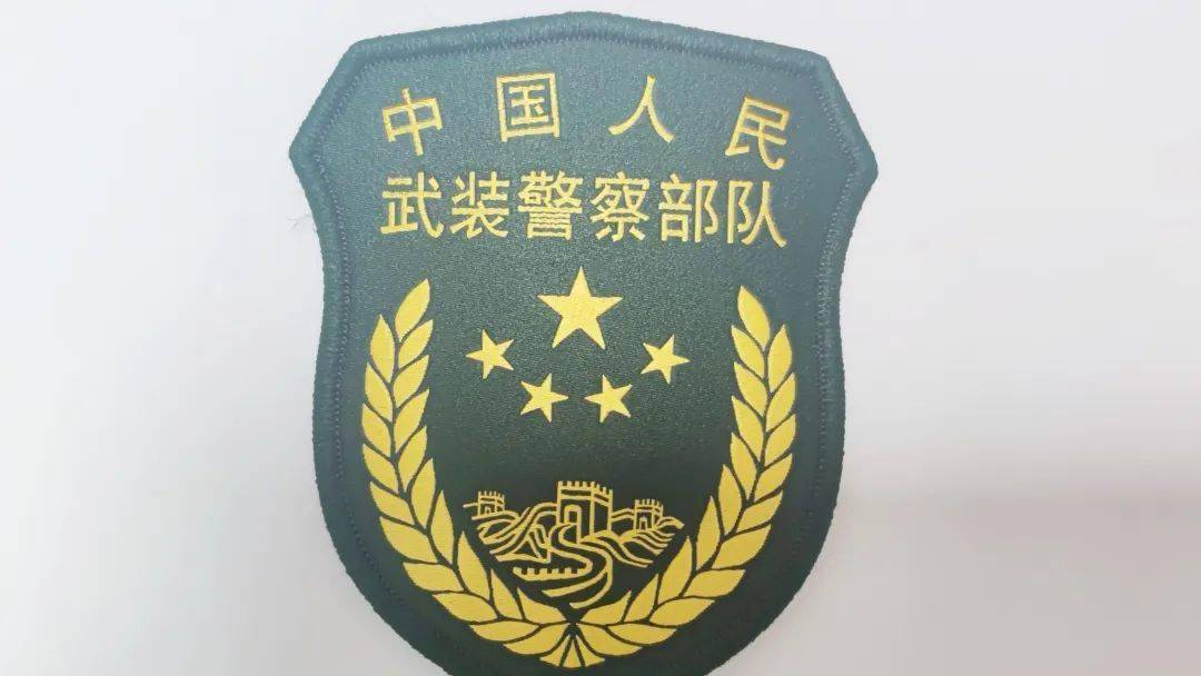 武警臂章21式，深入了解其意义与特点，武警臂章21式，意义与特点深度解析