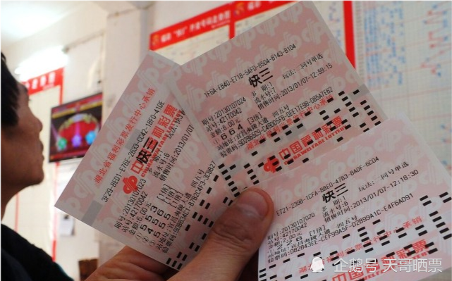 今日双色球开奖结果及号码分析，今日双色球开奖结果与号码分析揭秘