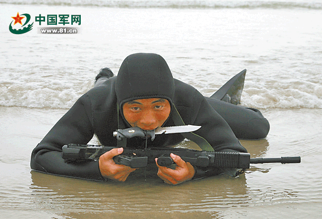 蛟龙突击队军体拳，铁血荣耀与技艺传承，蛟龙突击队军体拳，铁血荣耀与技艺传承的交融展现