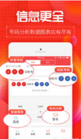 王中王一肖图，深度解析与SEO优化策略，王中王一肖图深度解析与SEO优化策略探讨