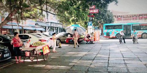 泉州六中，历史底蕴与现代教育的融合，泉州六中，历史与现代教育的完美融合
