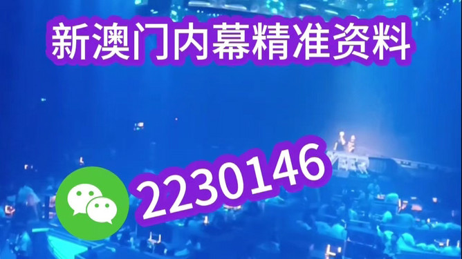 2023年新澳门今晚开特马直播——探索未来的赛马盛事，探索未来的赛马盛事，新澳门特马直播之夜