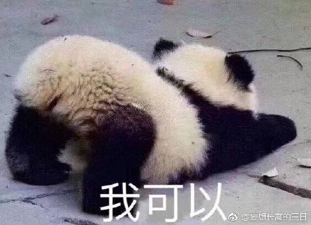 澳门四不像网，探索与解析，澳门四不像网深度探索与解析