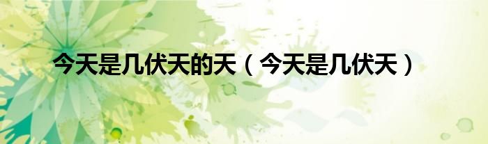 今日三伏天第几天，关于三伏天的深度解析，三伏天的深度解析，今日进入第几伏天？