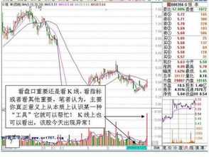 今天股票为什么下跌这么多，深度解析市场因素与应对策略，深度解析股市下跌原因及应对策略，市场因素剖析