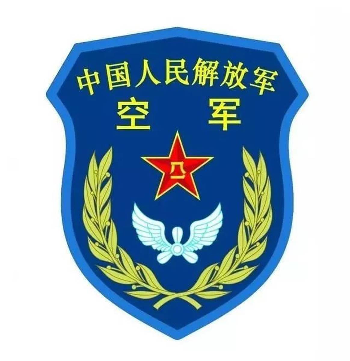 中国人民解放军军种图片，回顾与展示，中国人民解放军军种图片回顾与展示