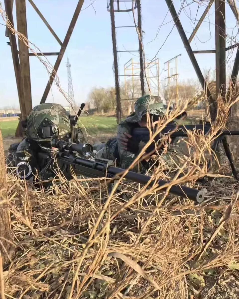 CSLR4高精狙击枪详细资料，CSLR4高精狙击枪全面解析与详细资料