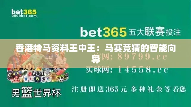 王中王一肖，特马一马的奥秘与SEO洞察，王中王一肖与特马一马，奥秘揭秘与SEO洞察