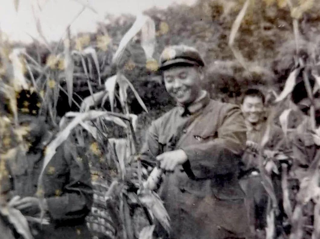 神舟十四号发射成功，中国航天事业的辉煌里程碑，神舟十四号发射成功，中国航天事业迈向新辉煌里程碑