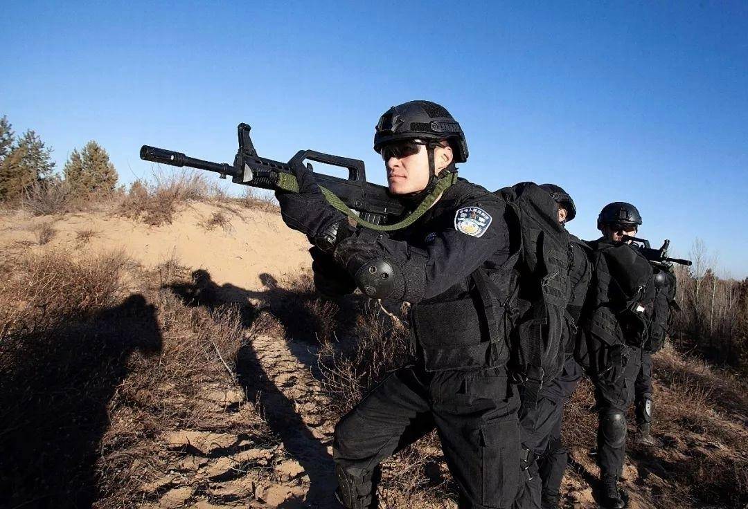 特警与武警，两种力量的优势与特点对比，特警与武警力量优势与特点对比解析