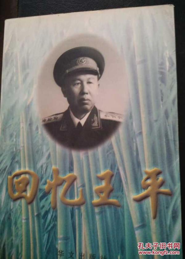 王中王平特一肖周大，揭秘背后的故事与SEO策略，揭秘王中王平特一肖周大的故事与SEO策略揭秘真相