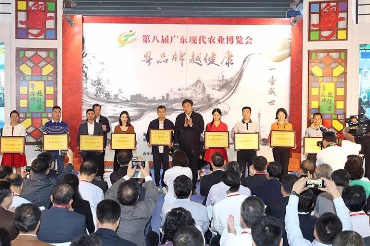 全球十大最强无人机，性能、特点与未来趋势，全球十大最强无人机，性能特点与未来趋势展望