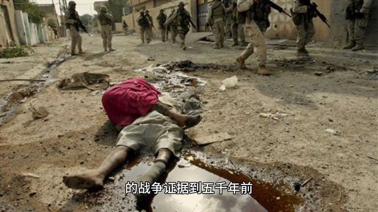 军事综合351，深度解析与前景展望，军事综合351深度解析与未来前景展望