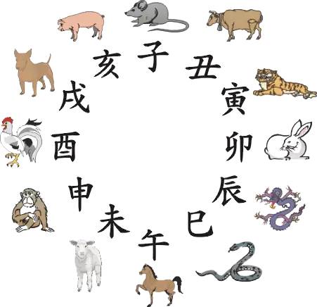王中王指一生肖283期，深度解析与预测，王中王指一生肖283期深度解析与预测报告