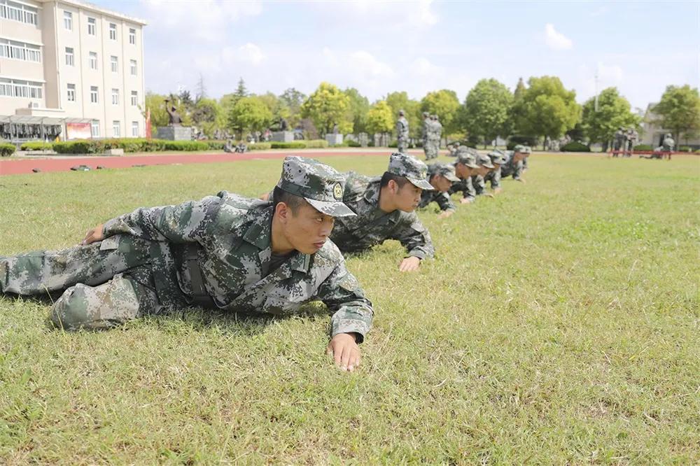 武警与陆军制服图片，深度解析两者服饰差异及SEO优化策略，武警与陆军制服差异深度解析，服饰对比及SEO优化策略