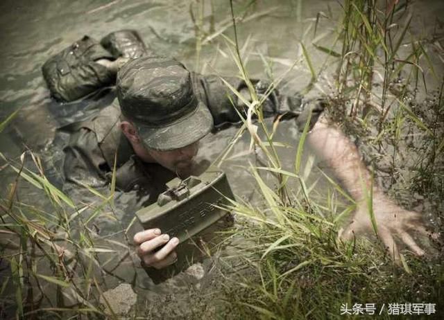 越南丛林战2免费版，深入体验经典战役的无限魅力，越南丛林战2免费版，深入经典战役的魅力之旅