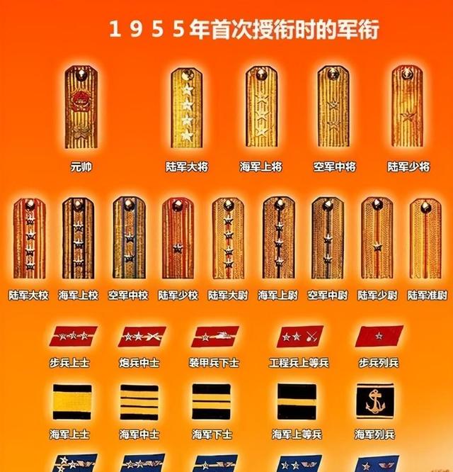 中国元帅军衔等级肩章详解，中国元帅军衔等级肩章详解与解析