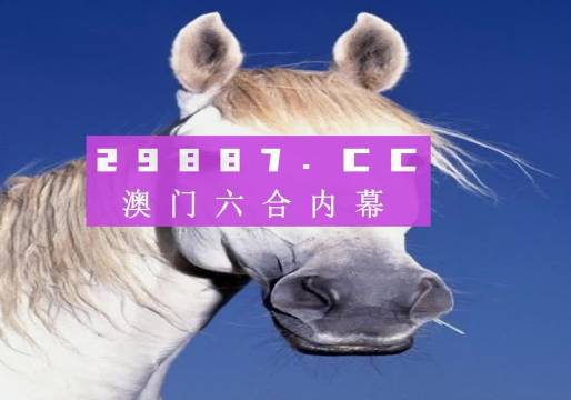 澳门一肖默认网站，探索与解析，澳门一肖默认网站，深度探索与解析