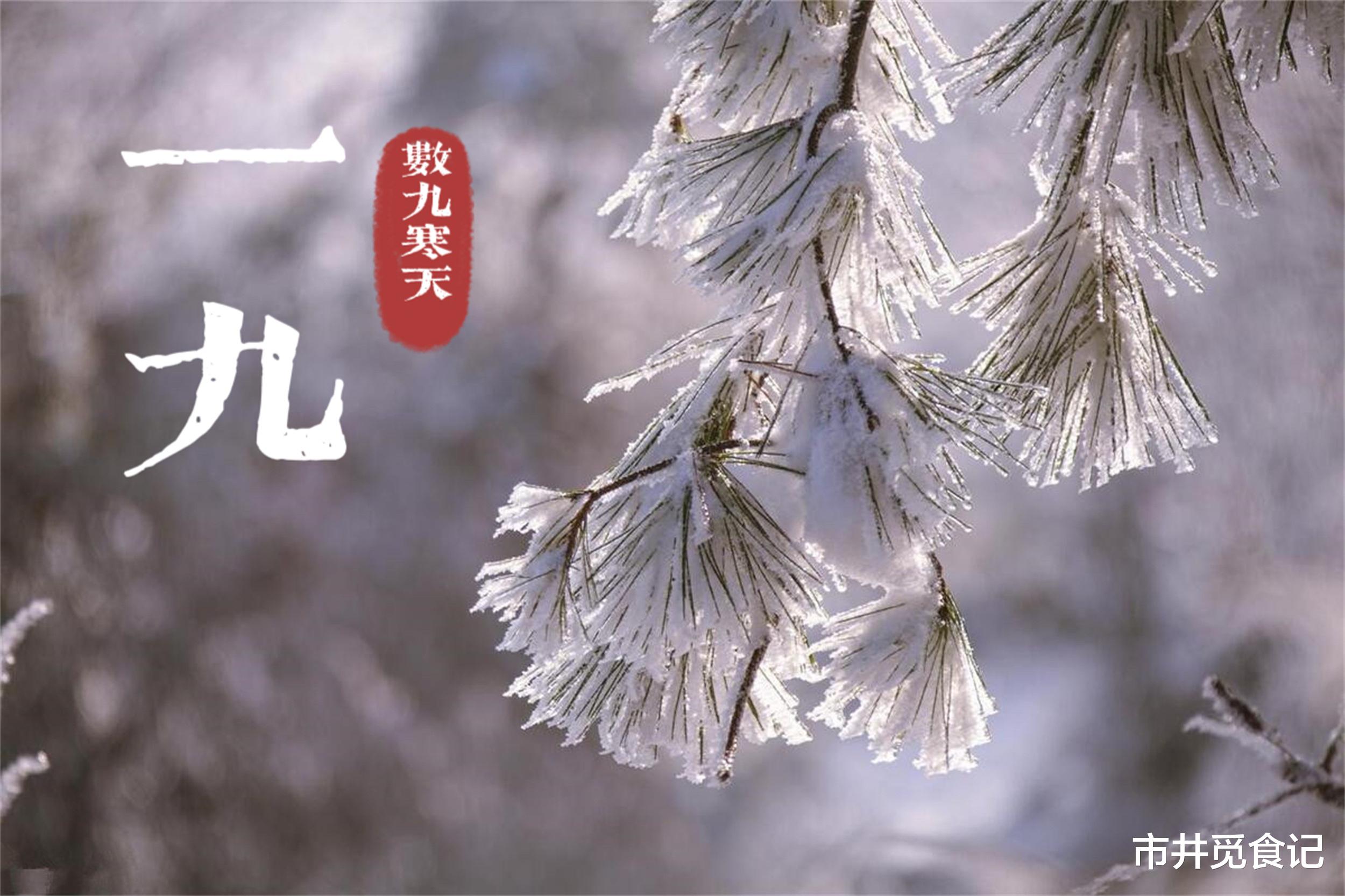今天是农历几九天？深度解析及SEO优化指南，农历九九天深度解析与SEO优化指南