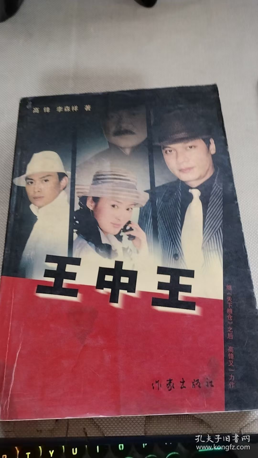 王中王资料一肖中特管系，深度解析与SEO优化策略，王中王资料一肖中特管系，深度解析与SEO优化策略全攻略