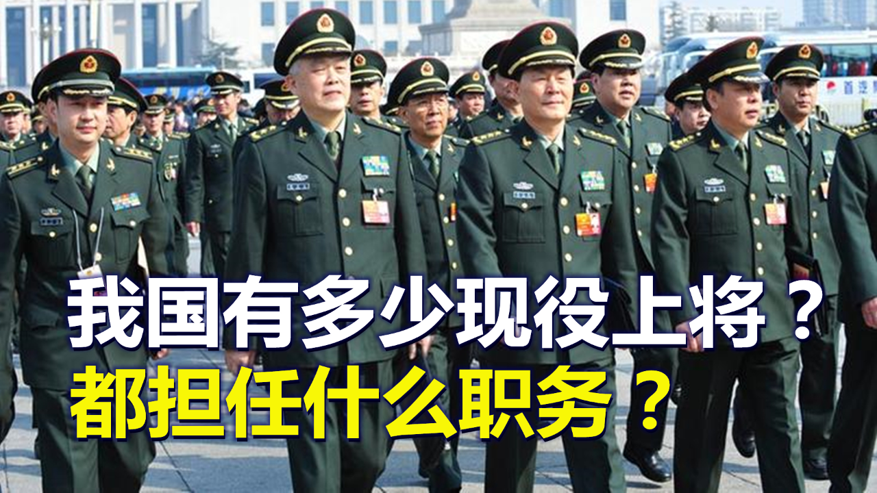 现任上将数量及其角色与影响，深度解析中国军事力量，深度解析，中国军事力量的上将数量、角色及其影响力