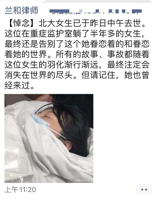 关于包丽事件的深度探讨，包丽事件深度解析与探讨